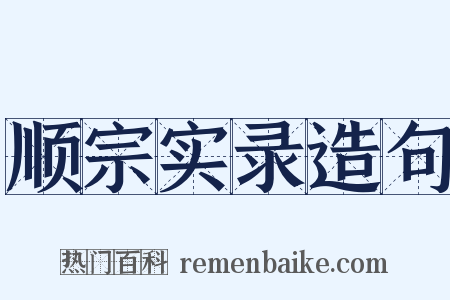 顺宗实录造句是什么意思的图片